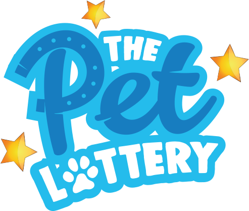 Lottery Logo